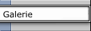 Galerie